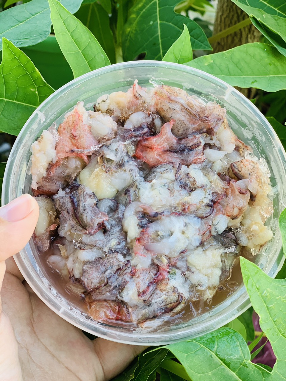 Giá sỉ thịt đầu tôm sú