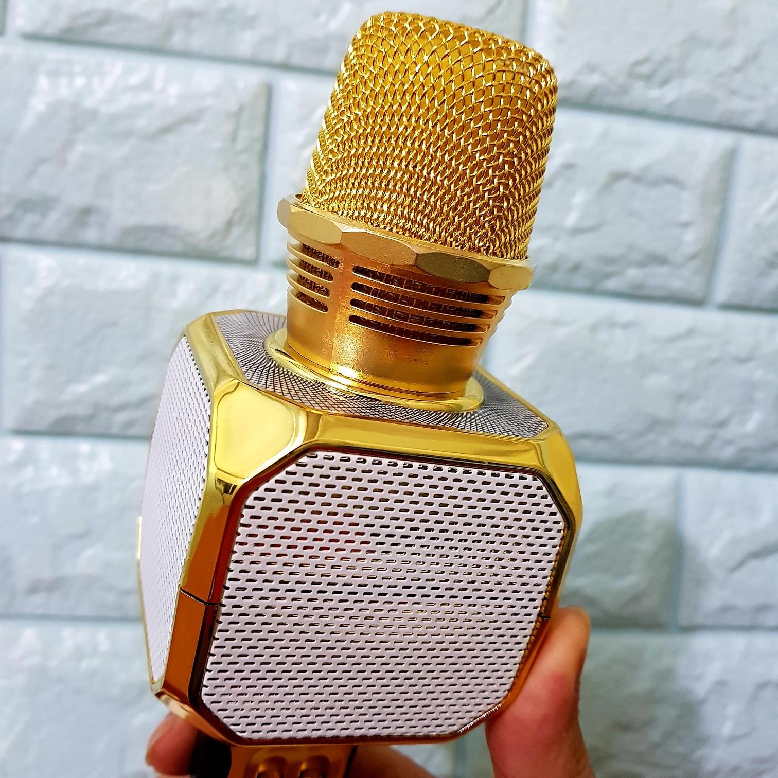 Micro Hát Karaoke Kèm Loa Bluetooth SD-10 Chính Hãng SDRD