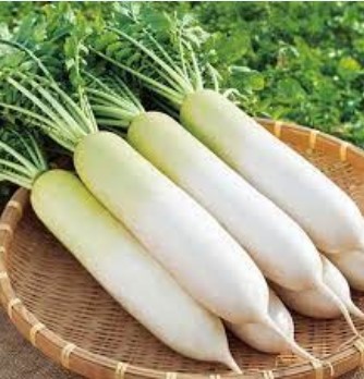 Hạt Giống Củ Cải Trắng (Ngọt) 20gr