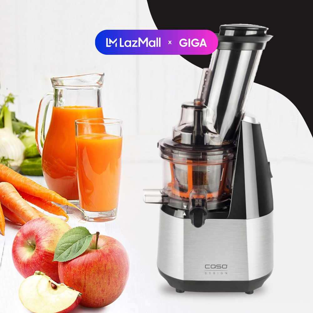 [ Hỏa tốc HN - HCM ]  Máy ép chậm CASO SJW550