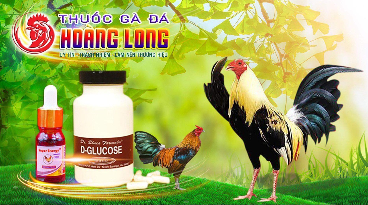 Dây cột gà thả gà ăn cỏ