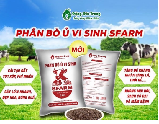 Phân bò ủ vi sinh sfarm đã qua xử lý bao 25kg - 5kg