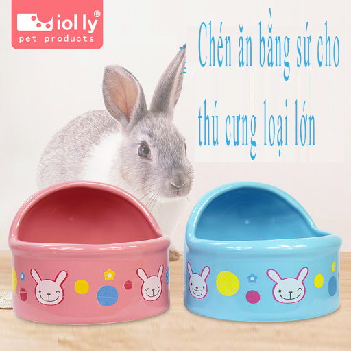 [HCM]Chén Ăn Cho Thú Cưng SIze Lớn