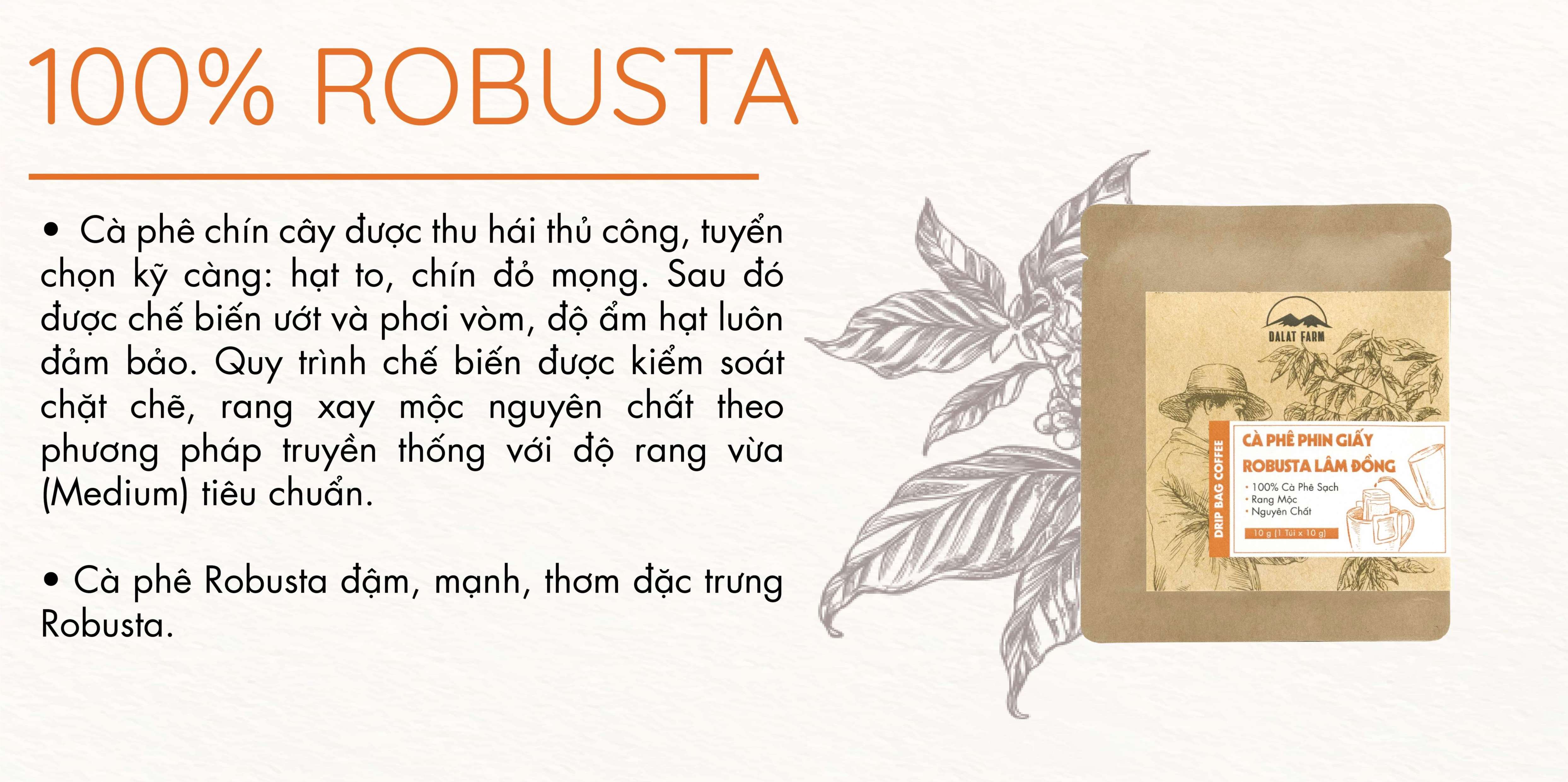 Cà phê phin giấy Robusta Lâm Đồng DalatFarm - Túi 10 g