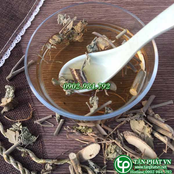 Cối xay sấy khô 500g - Hàng công ty chất lượng cao chuyên dùng để pha trà hỗ trợ thanh nhiệt và làm mát cơ thể - Hàng loại 1 - Thảo Dược Tấn Phát