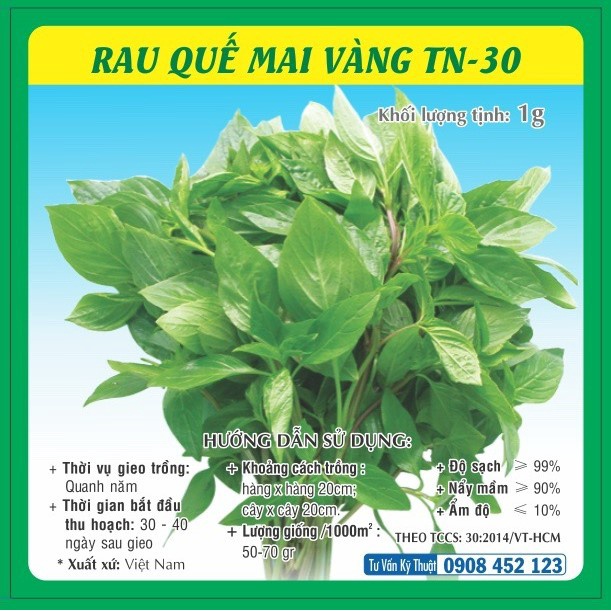 Hạt giống rau húng quế TN-30