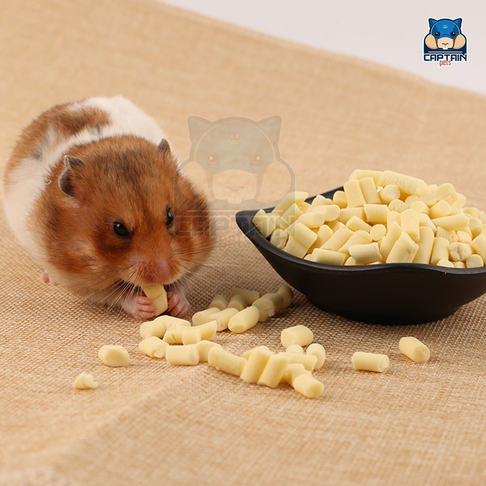 [FREESHIP MAX] Đồ Ăn Vặt Cho Hamster - Phô mai cube - Bách hóa Hamster