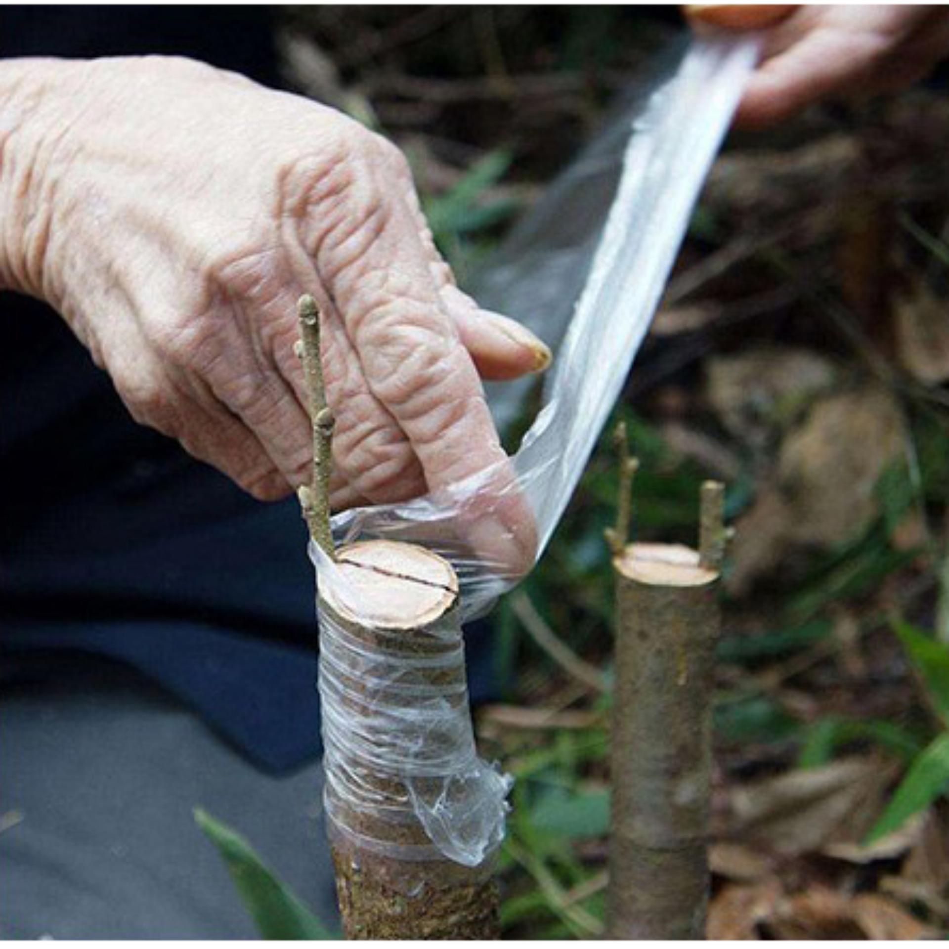 Băng ghép cây cuộn xanh 6cm