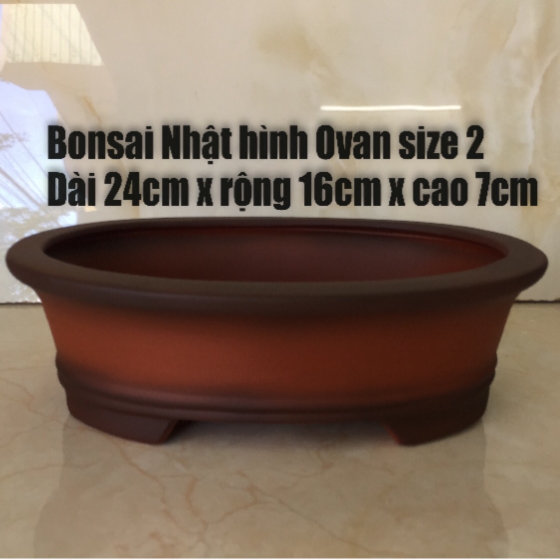 Chậu đất nung bonsai ovan kiểu Nhật (size 2)