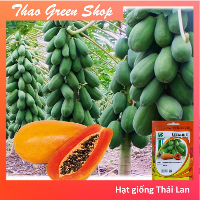 Hạt giống Đu Đủ Hà Lan Siêu Ngọt Seedline 20 hạt