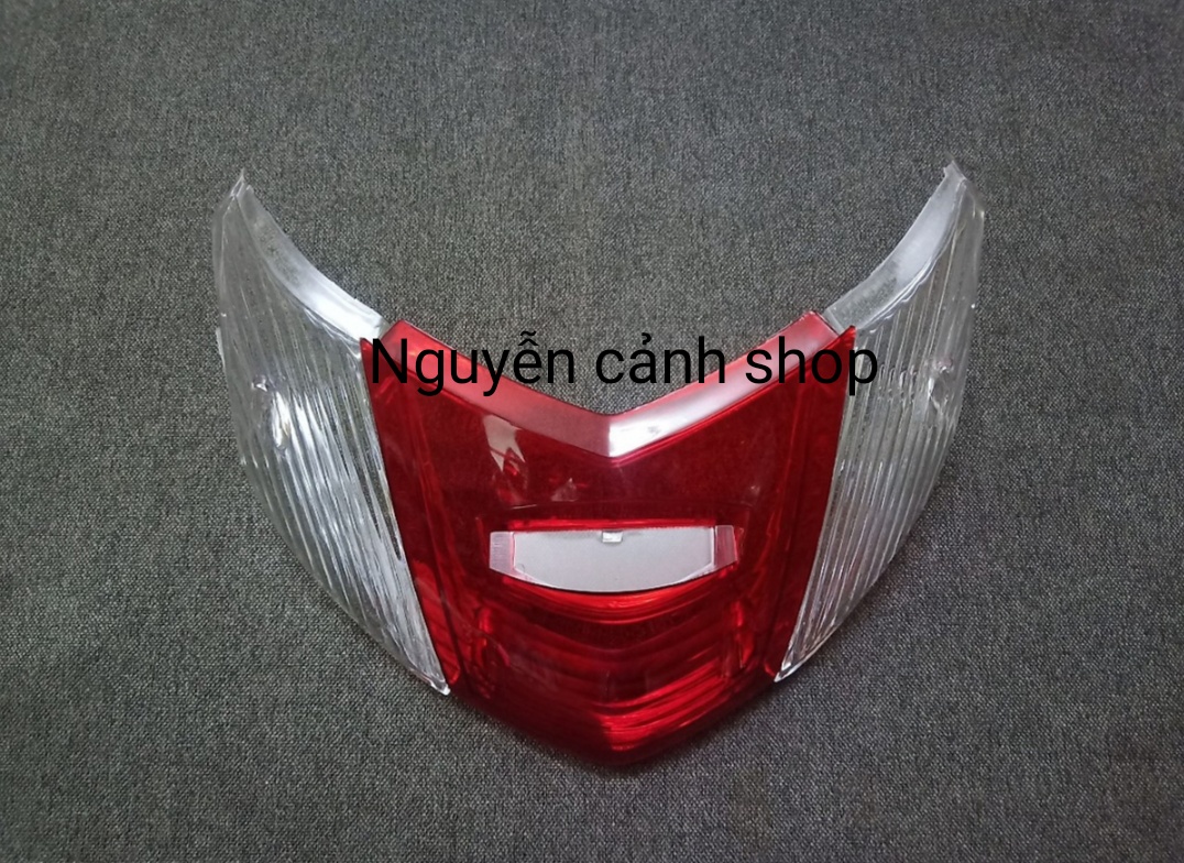 chụp xi nhan + chụp đèn hậu dylan