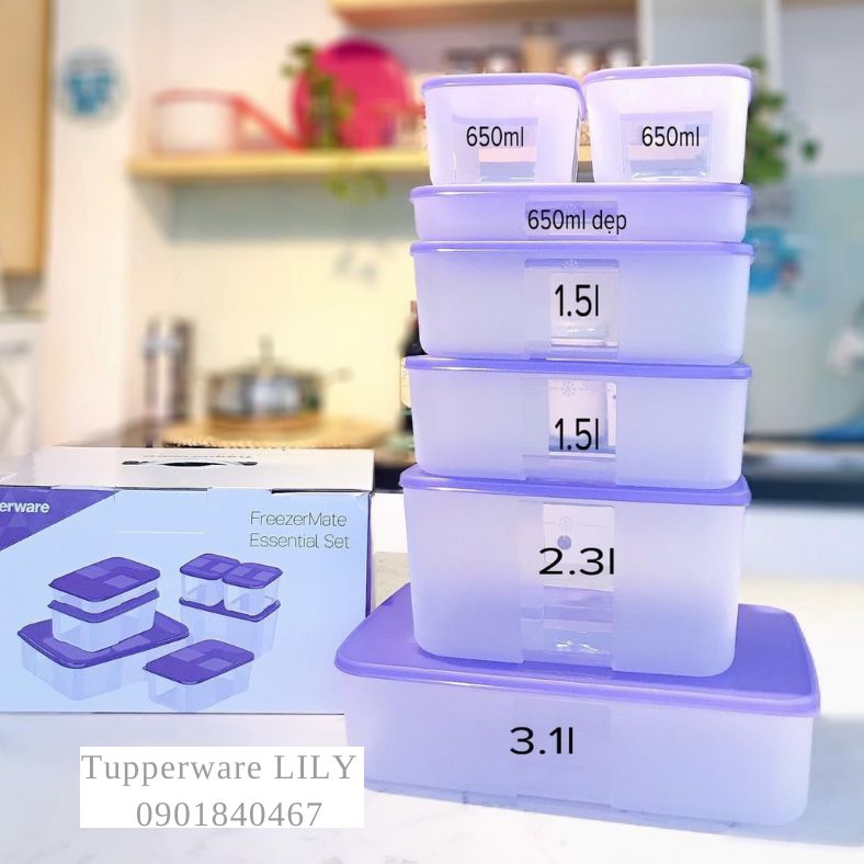 Bộ hộp trữ đông Freezermate Essential tím (Set 7) - Tupperware