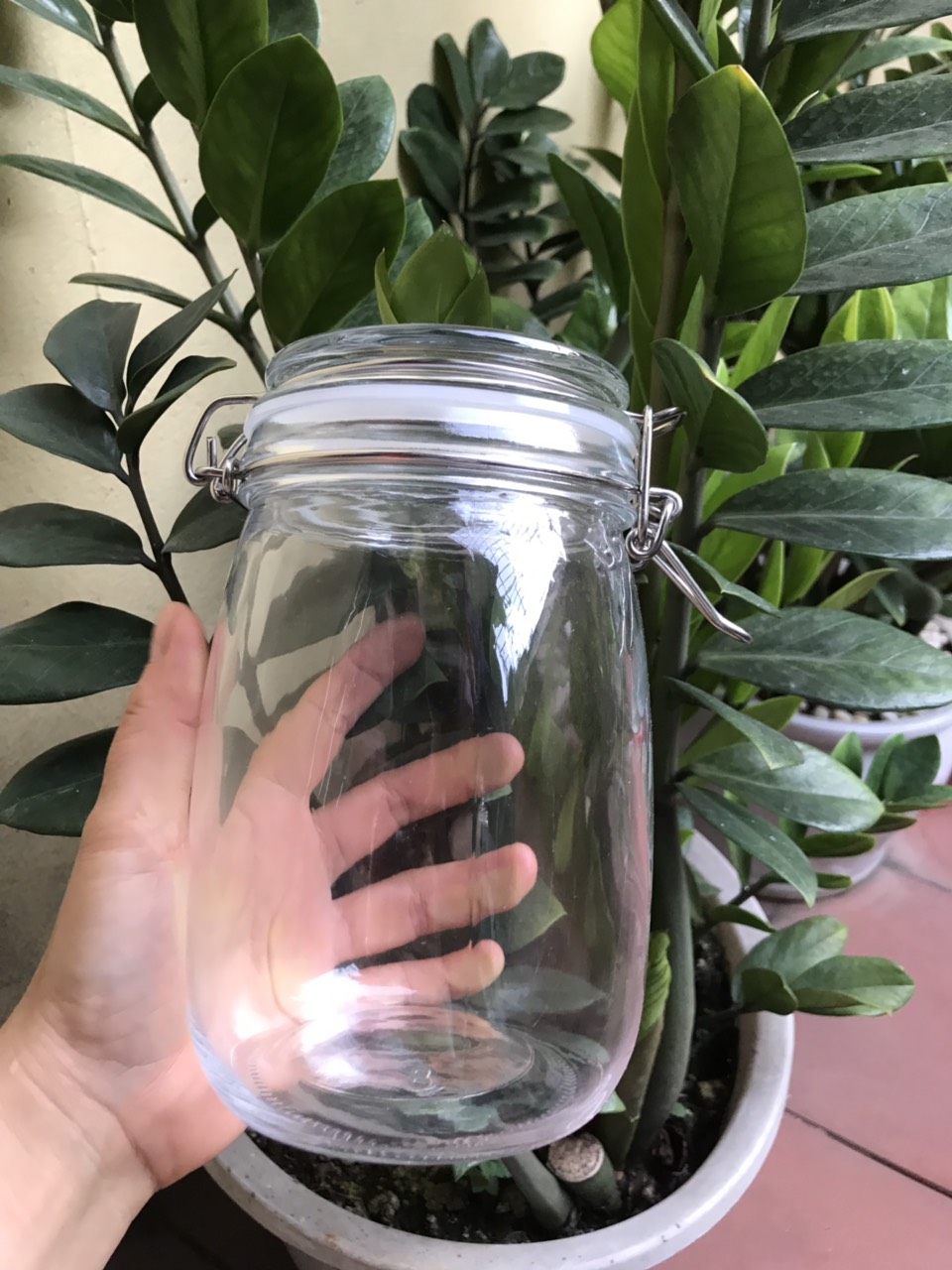 HŨ THỦY TINH NUÔI KOMBUCHA