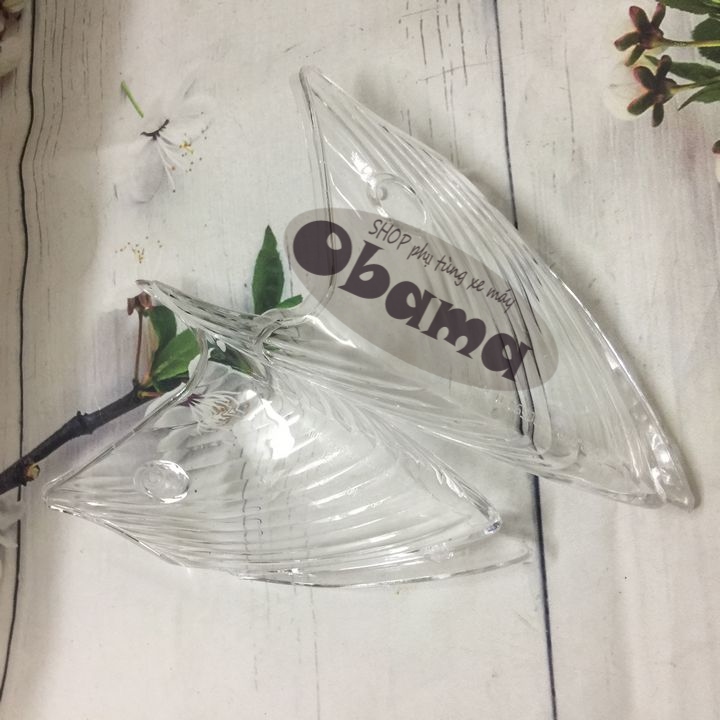 Chụp nắp xi nhan sau xe dylan