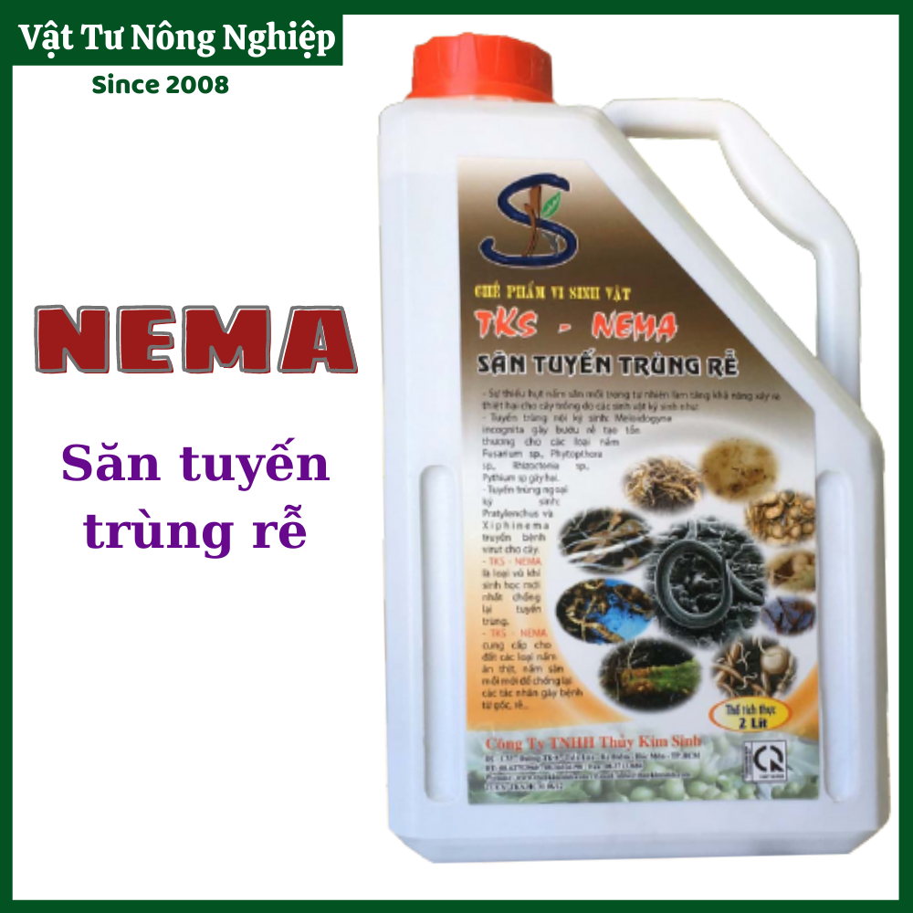 Nema: vi nấm săn tuyến trùng rễ, bảo vệ rễ