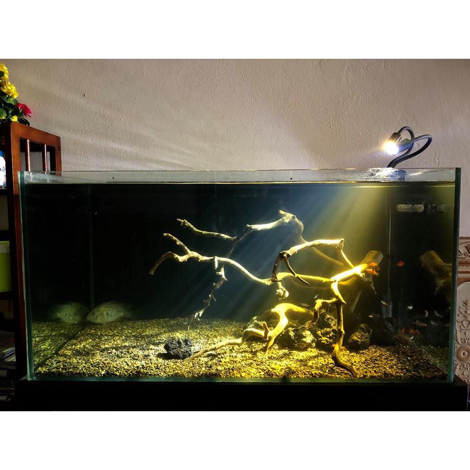 Đèn rọi Biotop 5W ánh sáng trắng