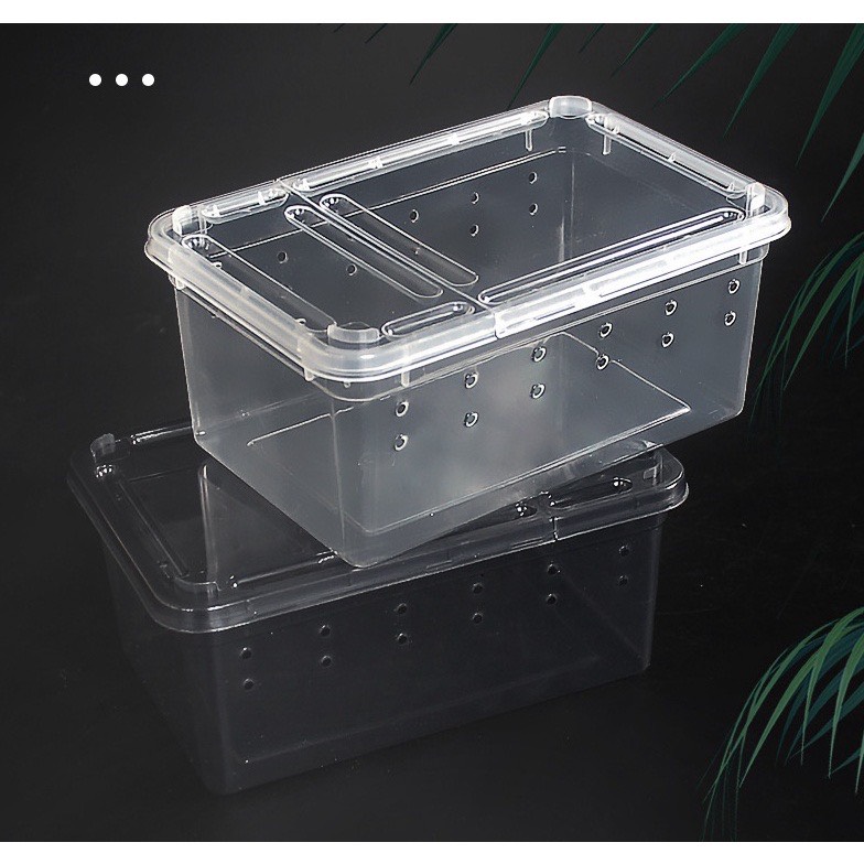 Hộp chuyên dụng nuôi bò sát pet chữ nhật size trung dành cho thú cưng GINA GARDEN
