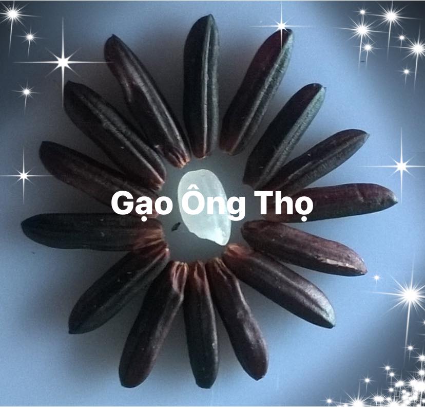 Gạo Ông Thọ - Tím Than túi 1kg
