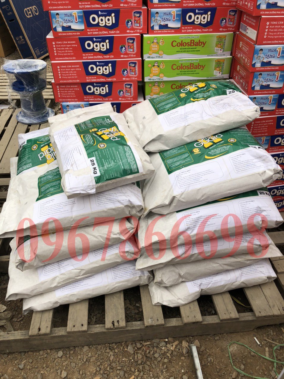 men ủ chua silo guard nhập khẩu mỹ (1kg)