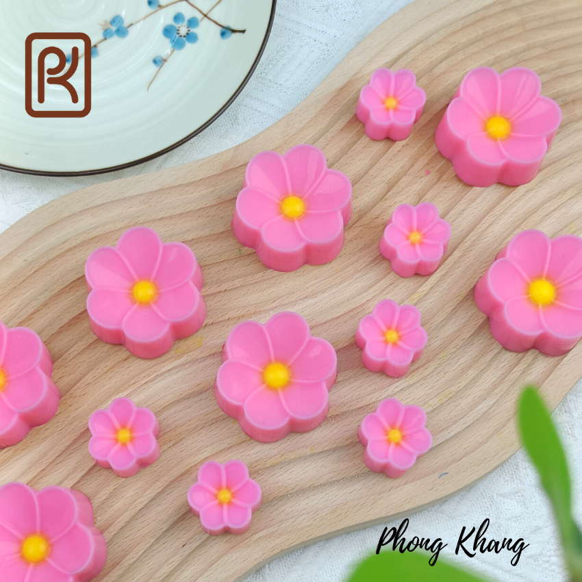 Combo 12 khuôn silicon ( 6 khuôn 5cm-6 khuôn 3cm) Phong Khang hình hoa sứ