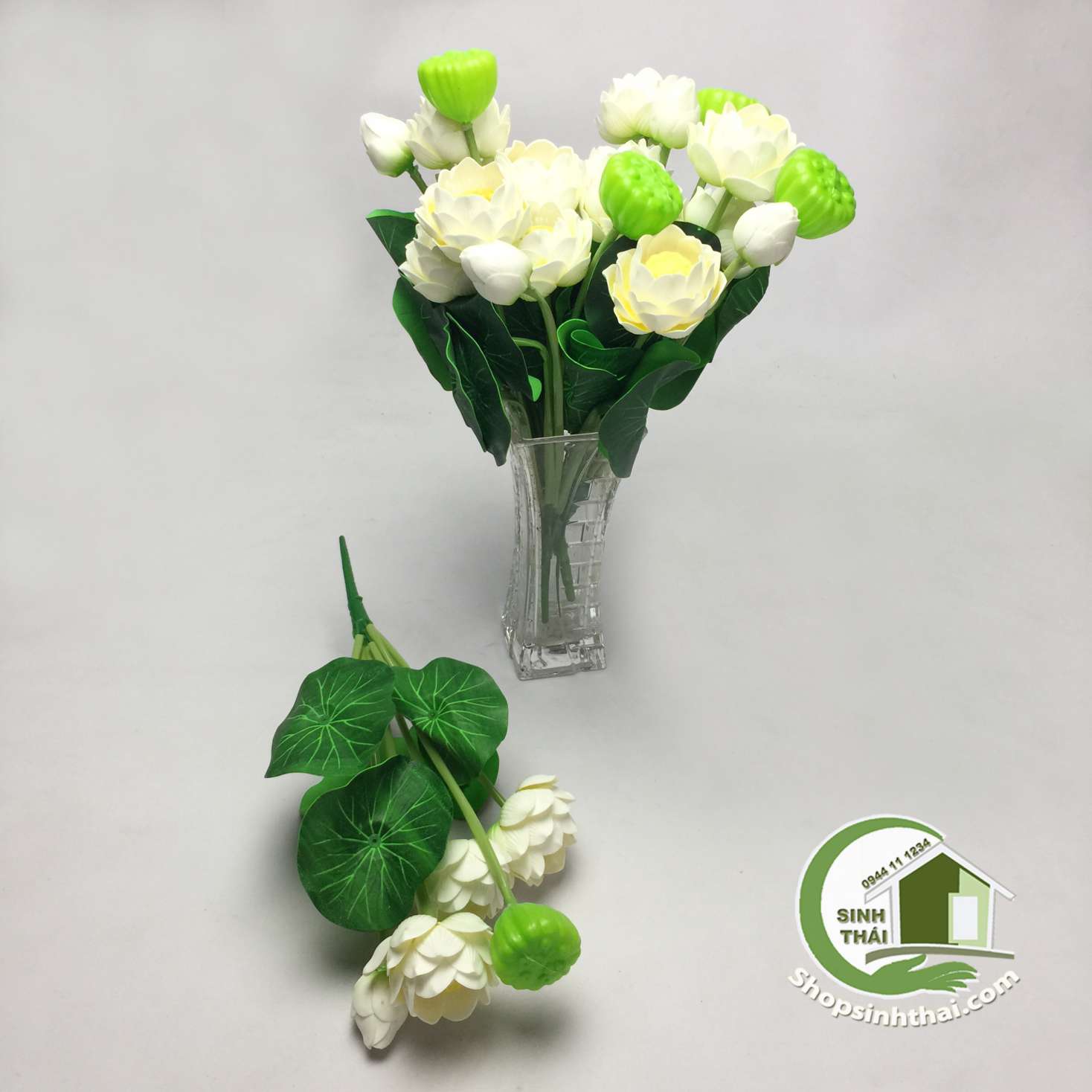 Bụi hoa sen nhỏ màu trắng
