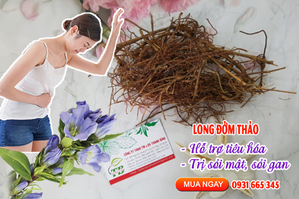 Long Đởm Thảo ( Long Đờm Thảo ) Khô 100G - Đông Y Thanh Bình
