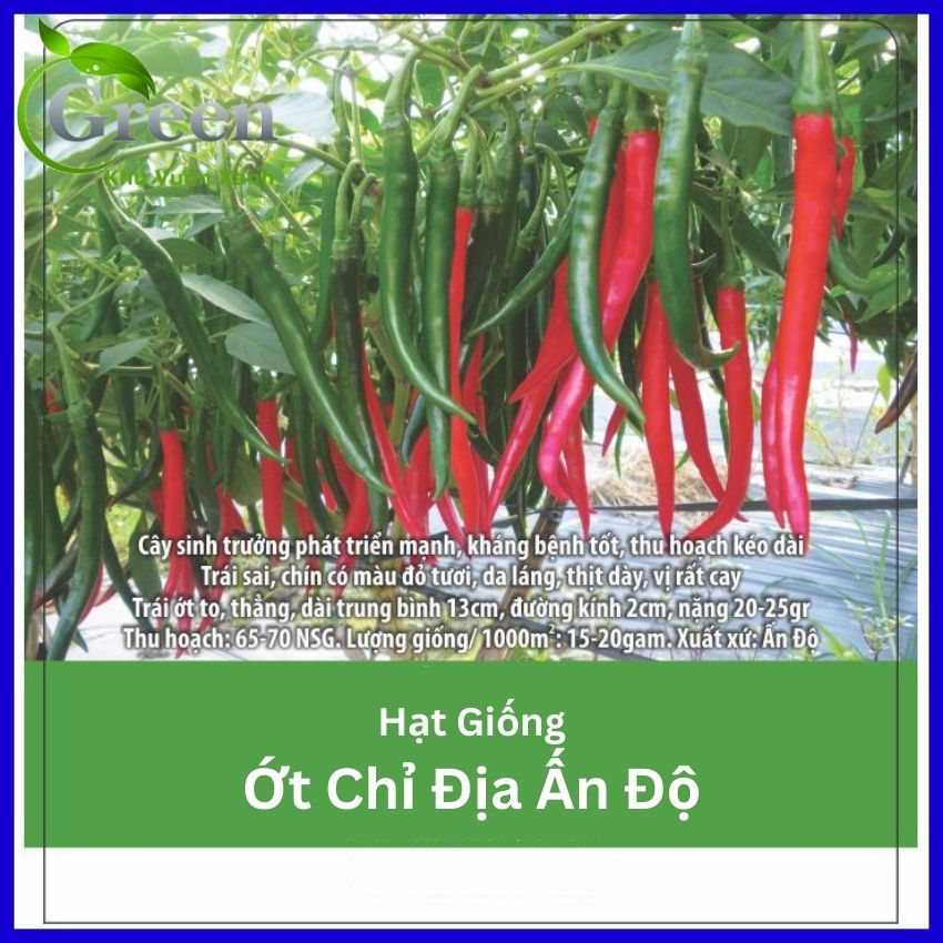 Hạt Giống Ớt Chỉ Địa Lai F1 Xuất Xứ Ấn Độ