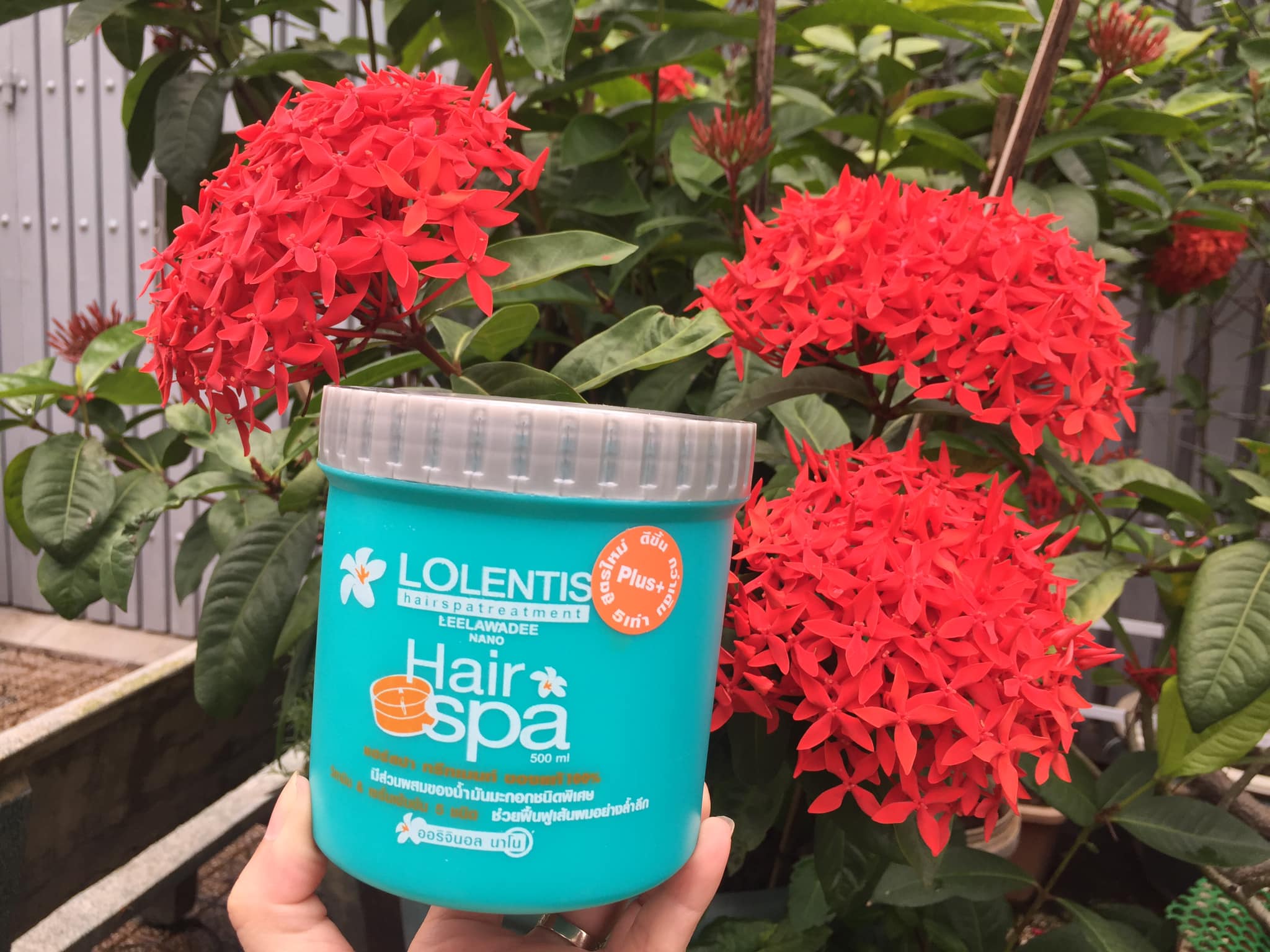 Dầu hấp tóc Spa Lolentis Thái Lan 500ml
