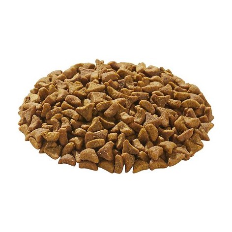 Thức ăn hạt mèo Royal Canin Hairball