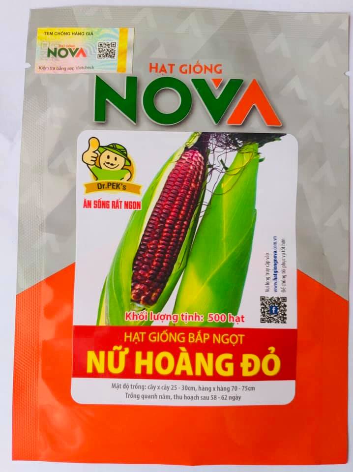 Hạt giống bắp nữ hoàng đỏ