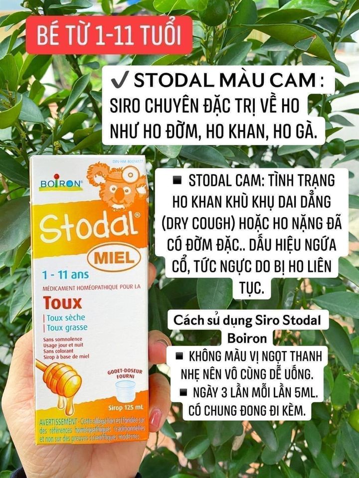 Hộp Stodal cold and cough nội địa Canada 125ml