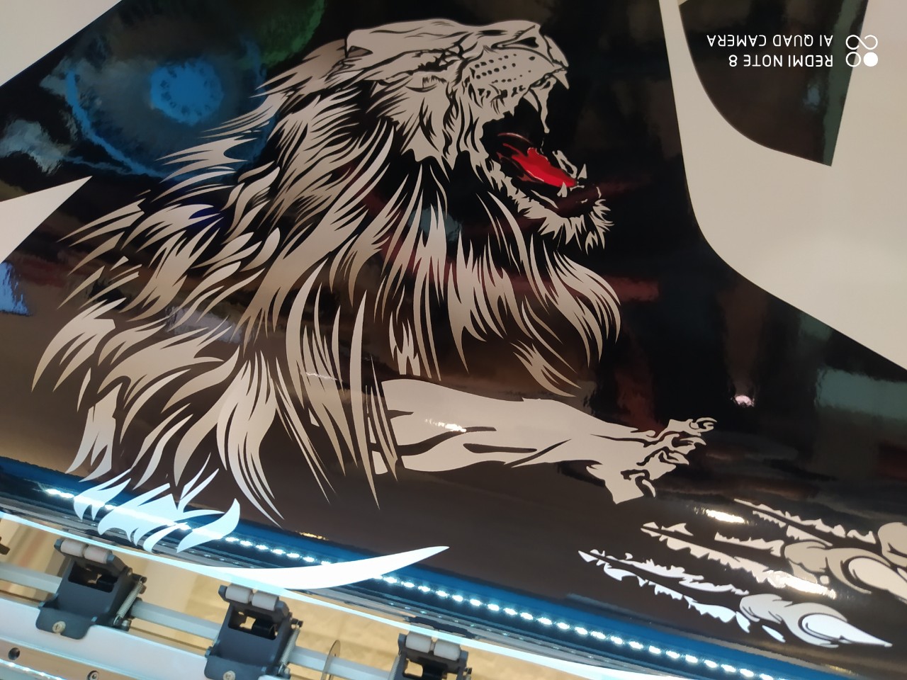 TEM TRÙM EXCITER  150 vua sư tử siêu đẹp mới nhất hiện nay