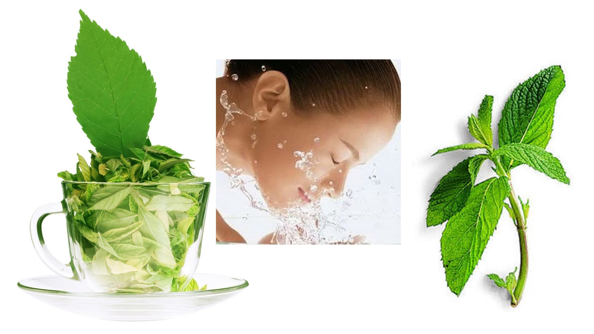 Bột đắp mặt nạ Dẽo bạc hà colagen mờ vết thâm
