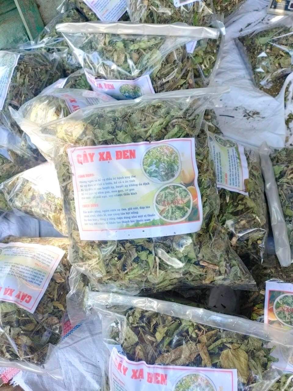 (Dược liệu khô) Cây Xạ đen phơi khô 500g