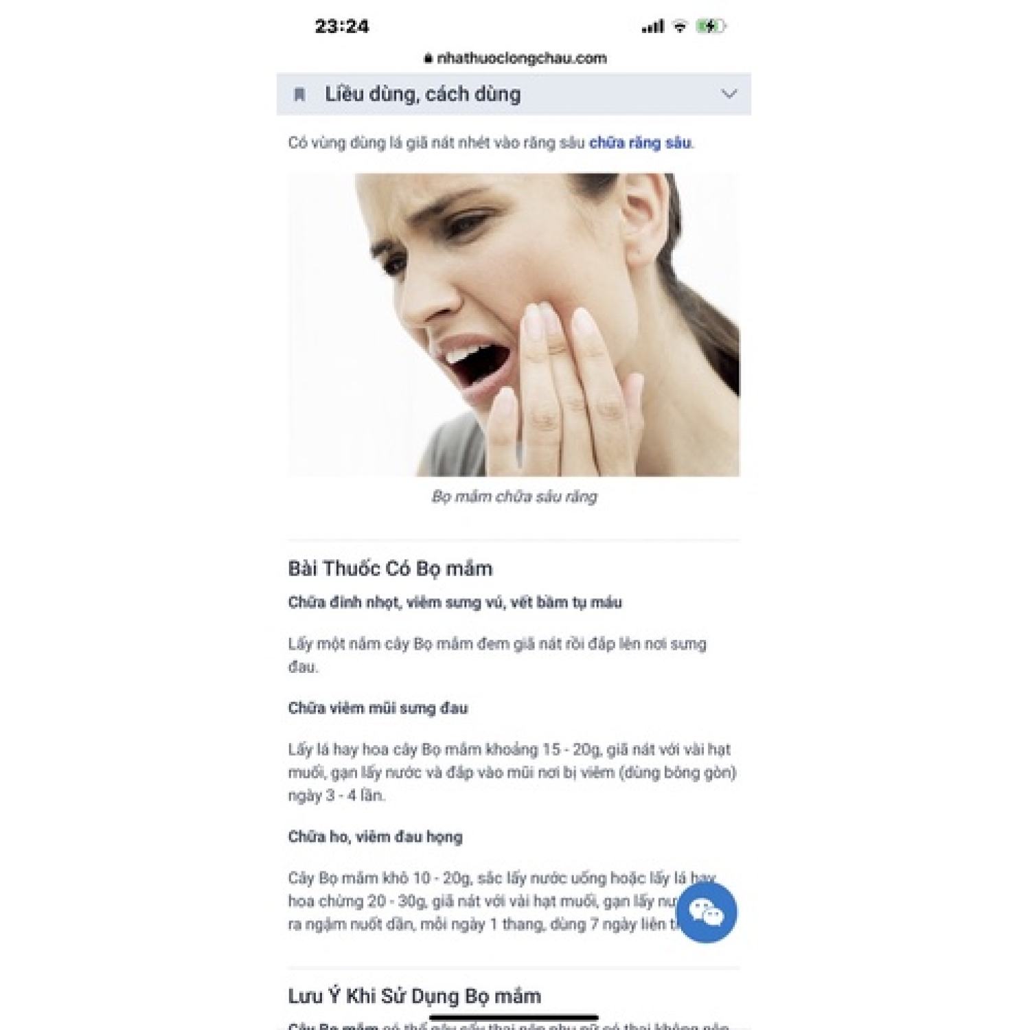 Bầu cây bọ mắm/ thuốᴄ dòi (tím)