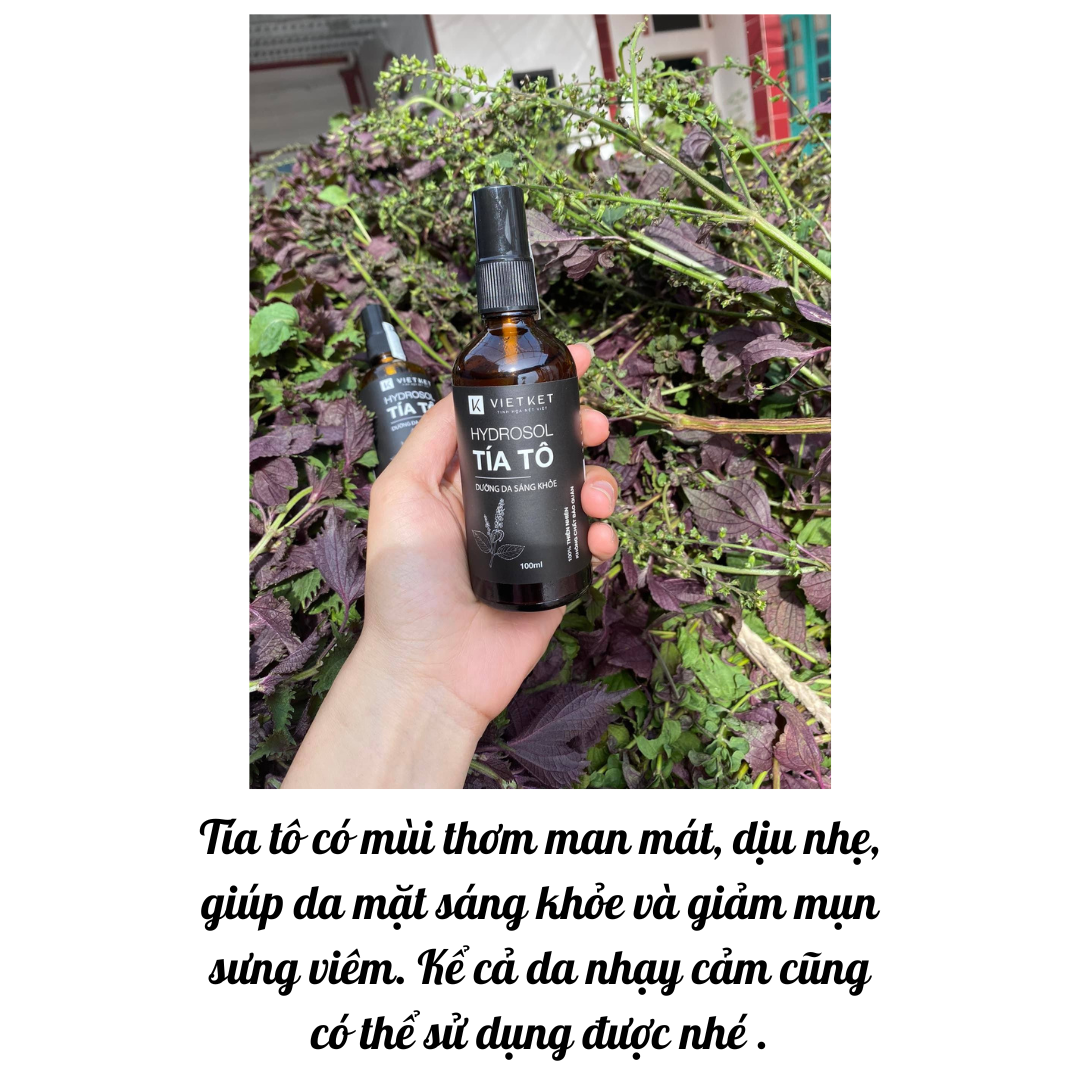 Hydrosol tía tô Vietket Giúp da sáng mịn, se khít lỗ chân lông, giảm mụn, giảm sưng viêm Chai 500ml Koshka Home