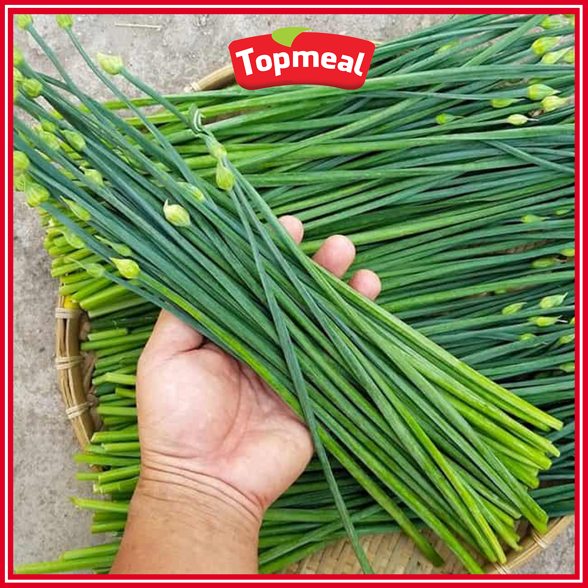 HCM - Bông hẹ (200 g) - [Giao nhanh TPHCM]