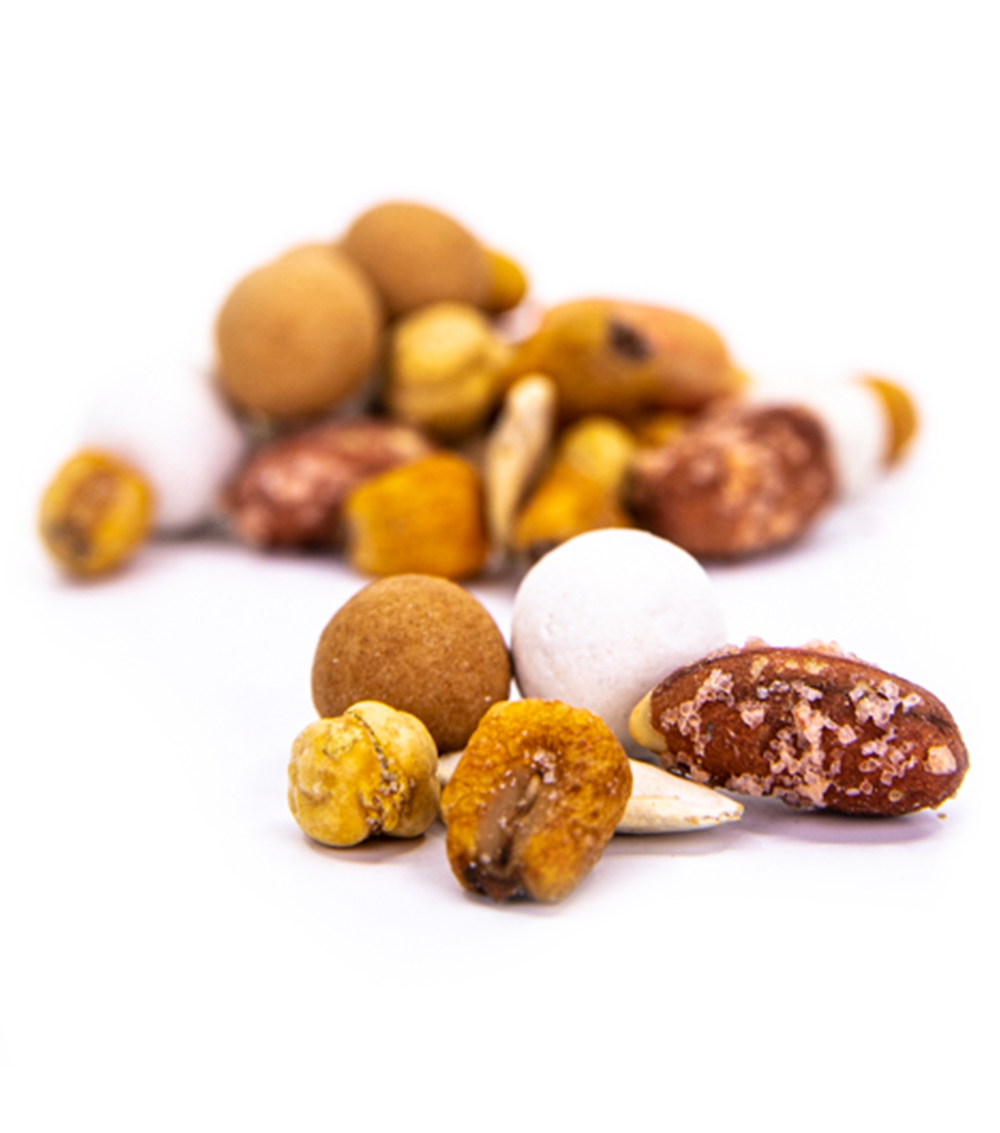 Master NutX Coctail Mixed Nuts 400gr