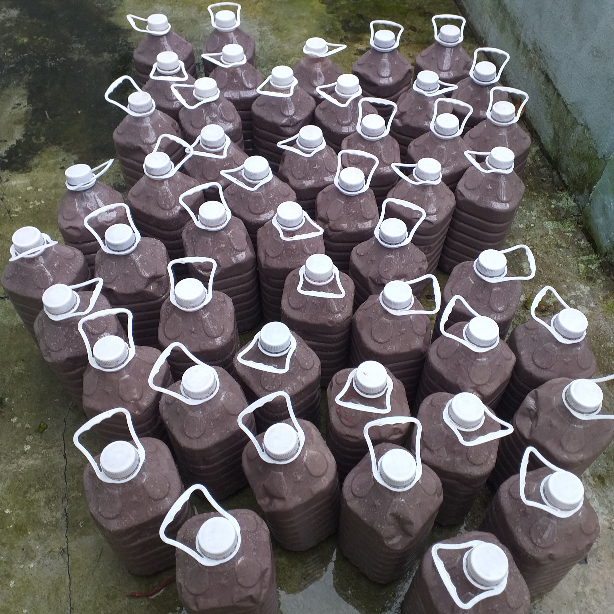 Mắm Tôm Ba Làng Thanh Hóa chai 300ml