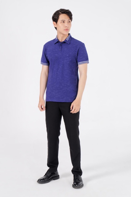 Blentino áo polo nam cộc tay pl25
