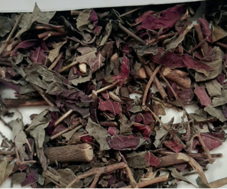 Lá đơn đỏ khô túi nhỏ loại 100g - Thảo Dược Tấn Phát