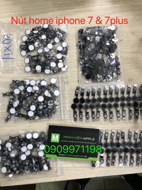 nút home I.P.H.O.N.E 6 zin đủ màu
