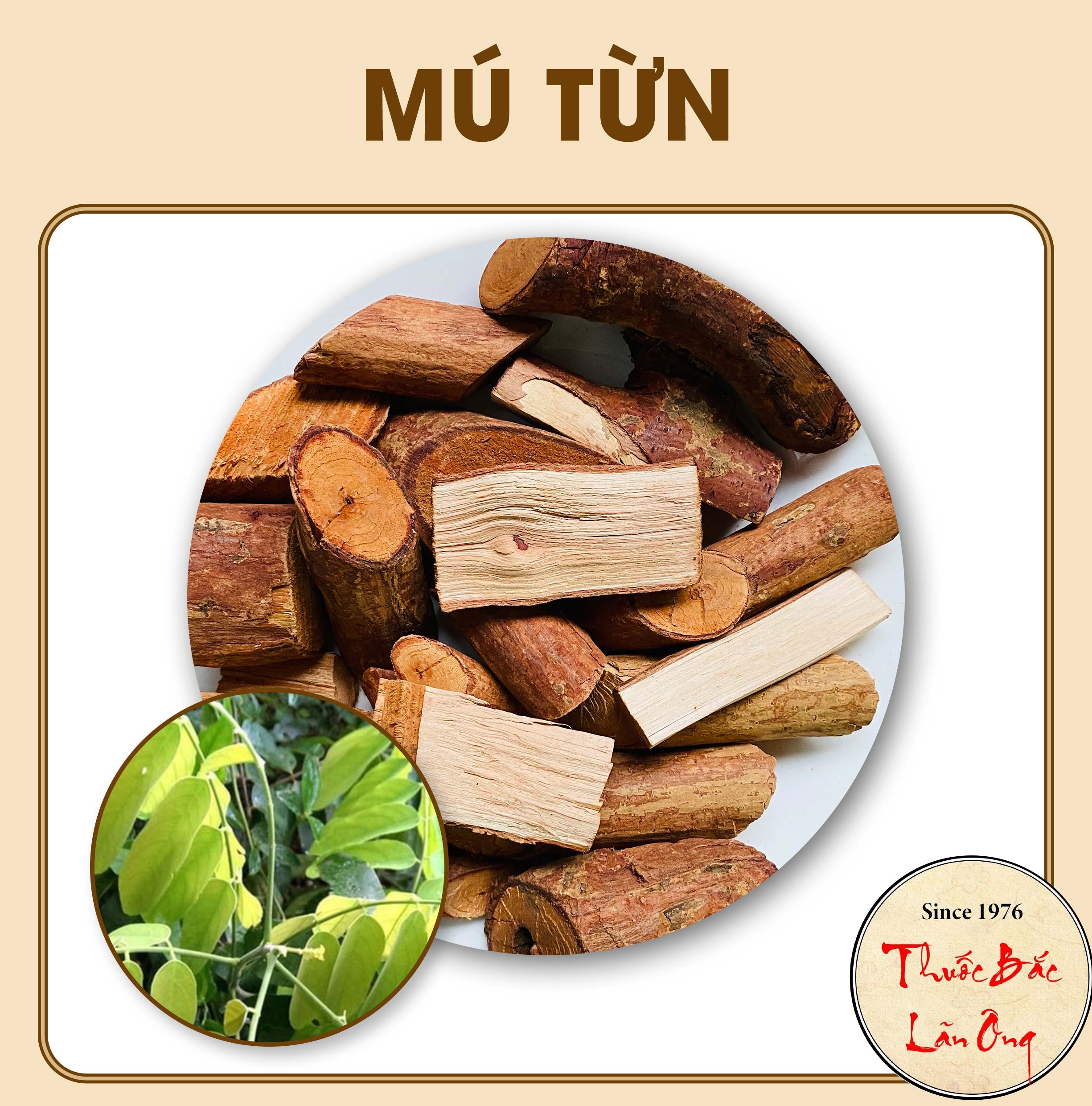 Mú từn 100g