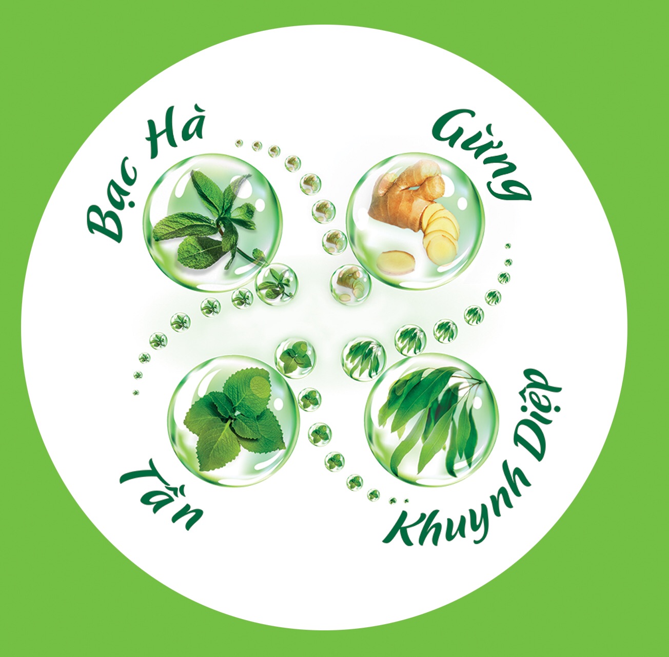 Kẹo ngậm thảo dược Eugica hộp 100 viên