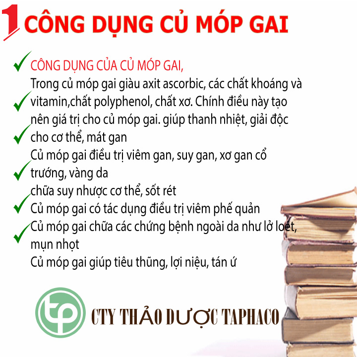 Móp gai khô 500g - Tấn Phát - Chuyên dùng để pha trà hỗ trợ thanh nhiệt và giải độc cực kỳ hiệu quả