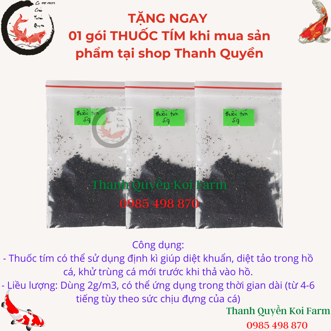 Vi sinh làm trong nước bể cá hồ cá koi cá cảnh FISH 01