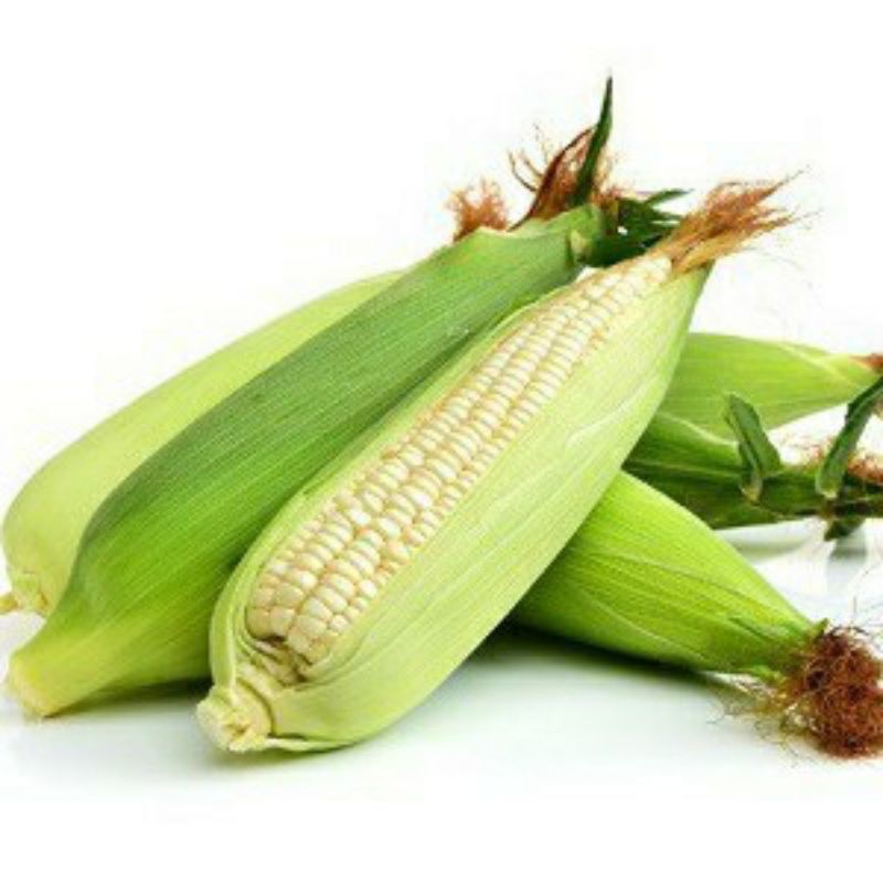 Hạt Giống Bắp Nếp Nù Siêu Dẻo - Gói 100gram