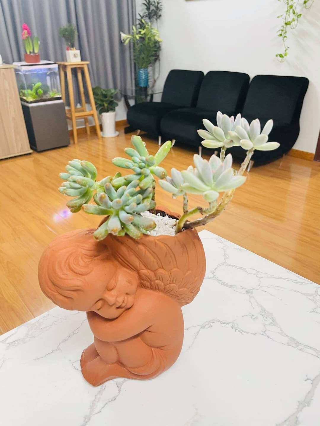 Chậu đất nung hình thiên thần nhỏ