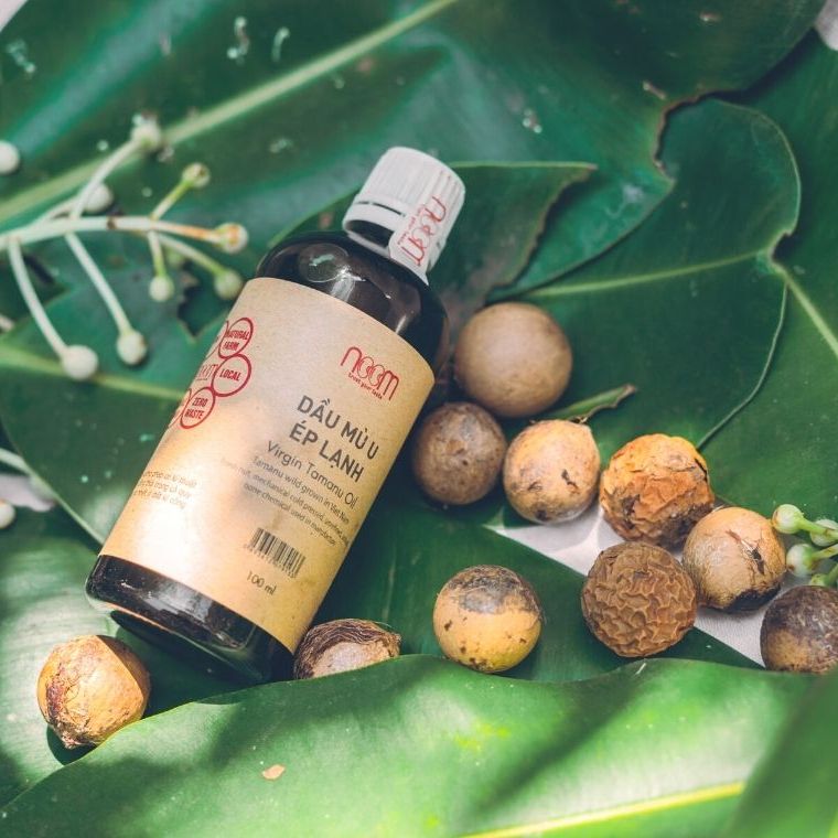 DẦU MÙ U ÉP LẠNH NOOM CHAI 10ML (Virgin Tamanu Oil) hỗ trợ da mụn, làm lành vết thương hở, giảm sưng ngứa vết muỗi đốt