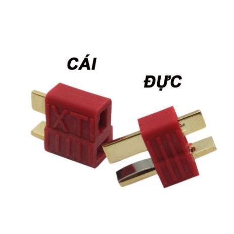 Jack chữ t đực- cái